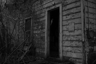 Small derelict house in a wooded area